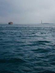 Rebirth of the Urban