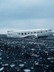 King of the Nine Pro