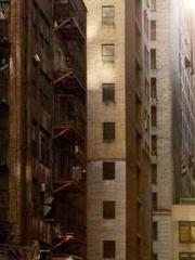 King of the Nine Pro