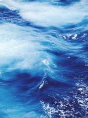 Rebirth of the Urban