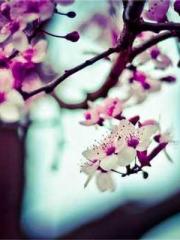 lt;The misfortune of