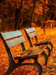 lt;The Dragon Discar