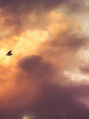 lt;Nineth Uncle, you